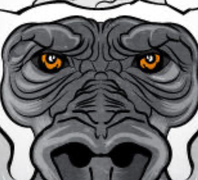 Urban Gorilla eyes and nose detail