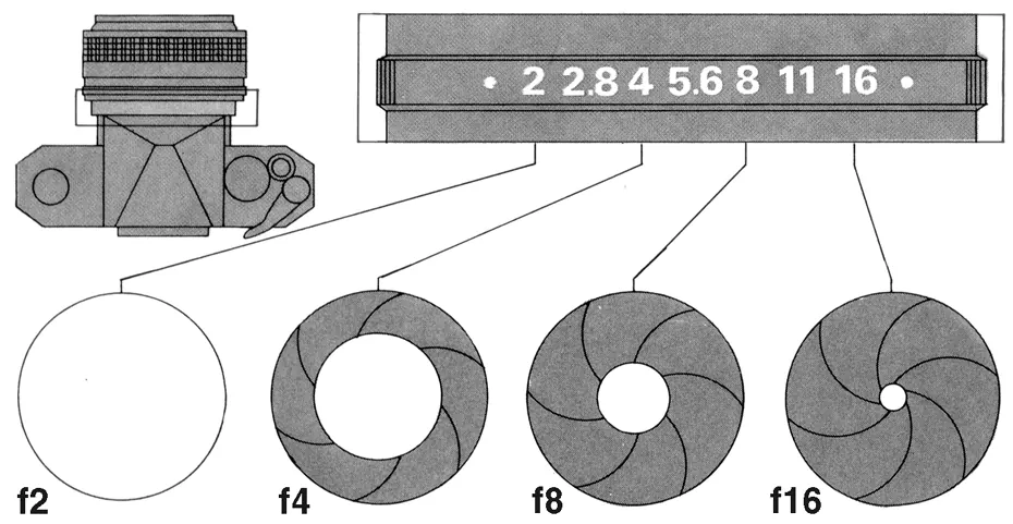 Camera aperture shape used as inspiration for the Alexander Photos logo