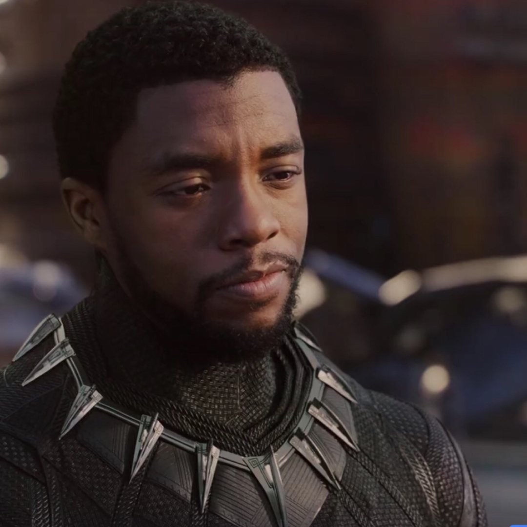 Chadwick Boseman Black Panther supporting illustration by ARTIST53