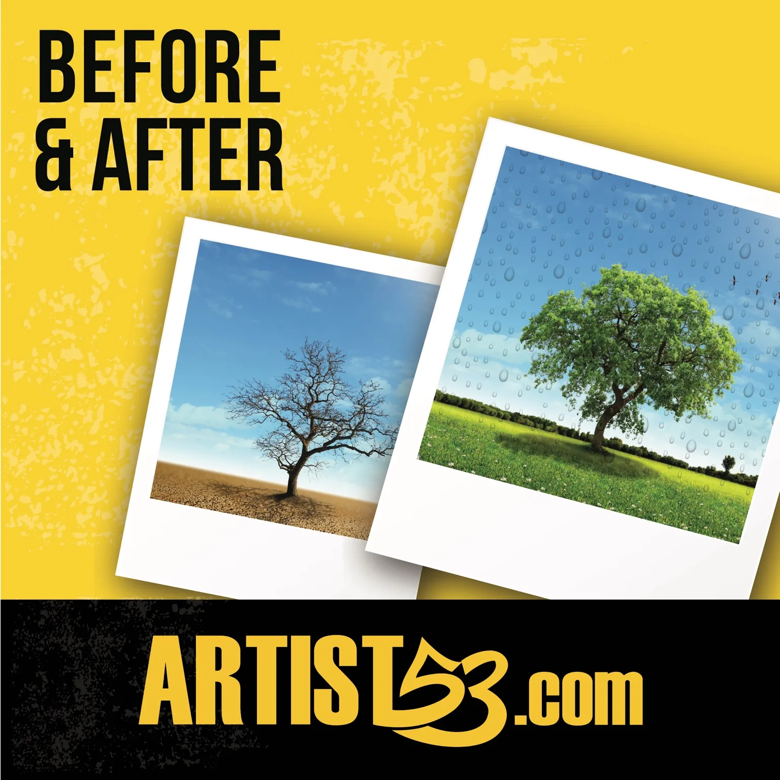 Before and after comparison for the I Think I Am Foundation identity