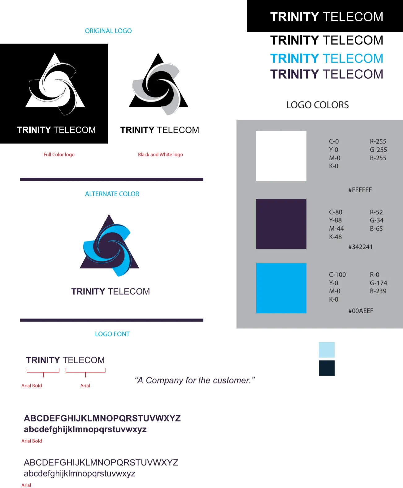 Trinity Telecom final logo system colors and typography